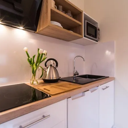 Gray House Apartament *